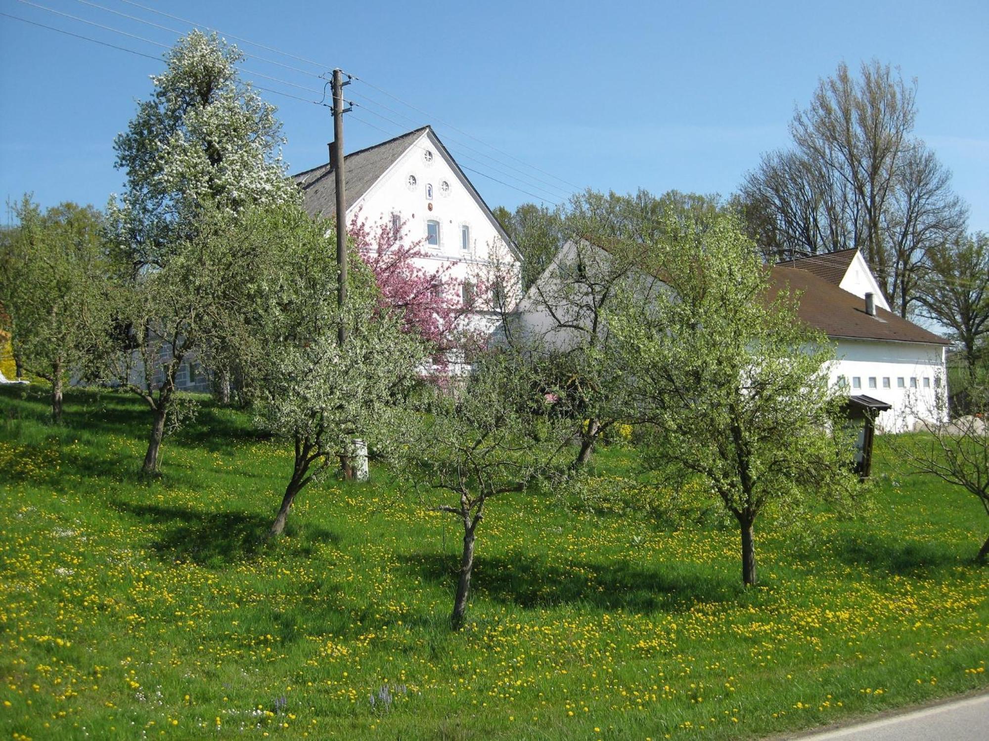 Comfortable Apartments In Rotthalm Nster Rotthalmuenster Zewnętrze zdjęcie