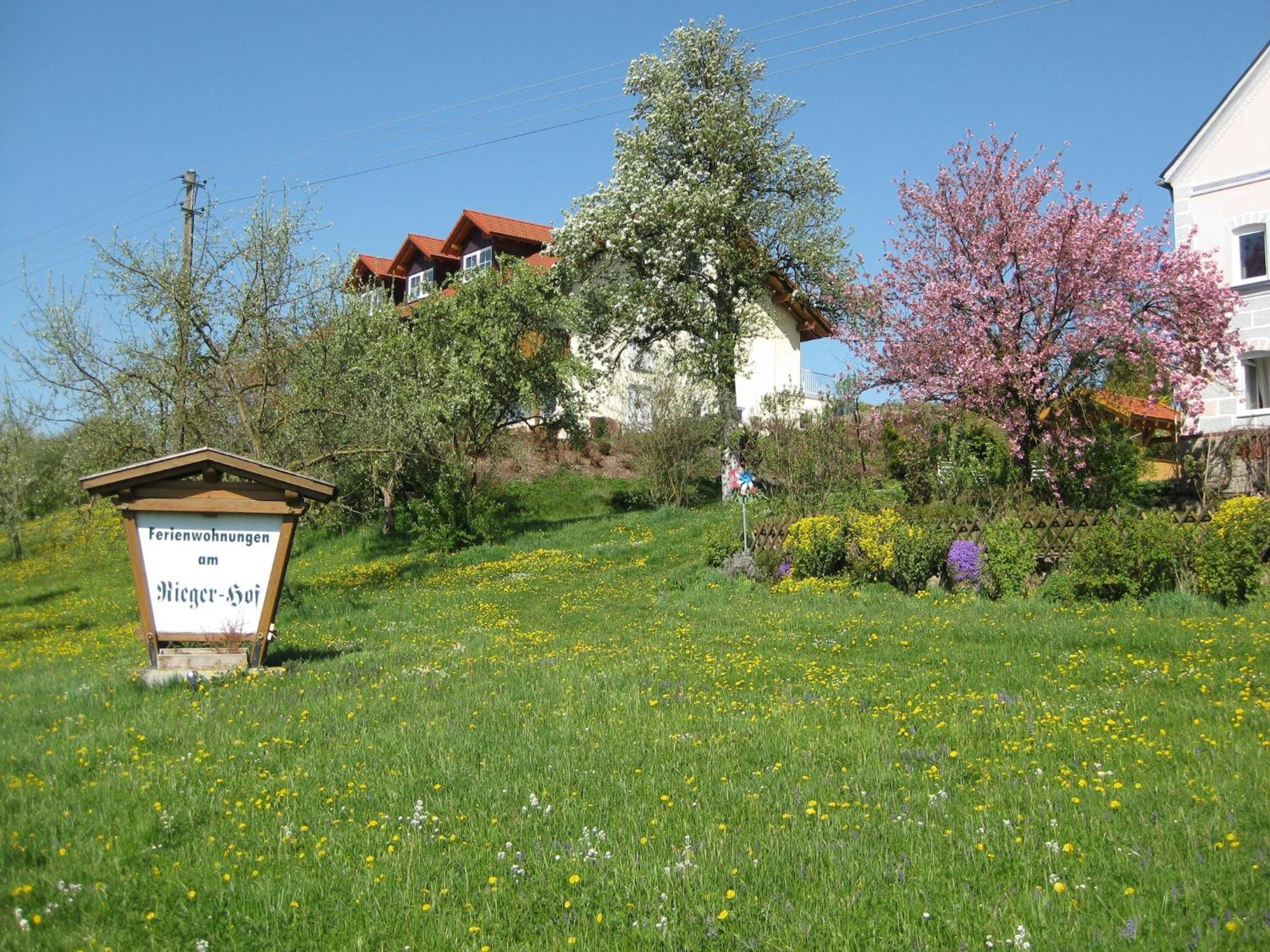 Comfortable Apartments In Rotthalm Nster Rotthalmuenster Zewnętrze zdjęcie