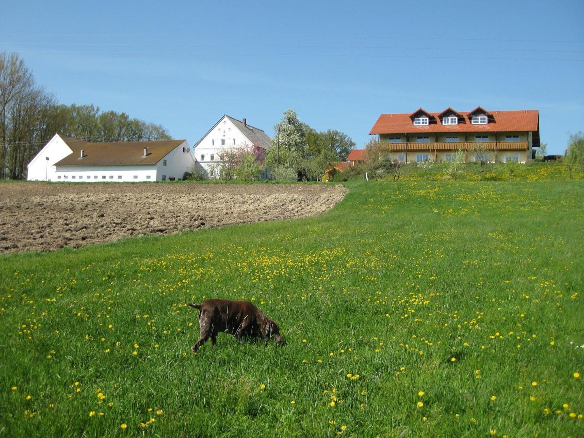 Comfortable Apartments In Rotthalm Nster Rotthalmuenster Zewnętrze zdjęcie